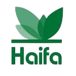logo de haifa